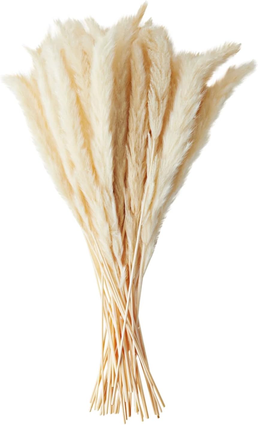 Farmlyn Creek Natural Pampas Grass Bundle & Ceramic Vase - 40 Stems, 16 in Tall, Ivory - Dried Pampas Grass Decor - Rustic Farmhouse Home Decor - Table & Wedding Centerpiece