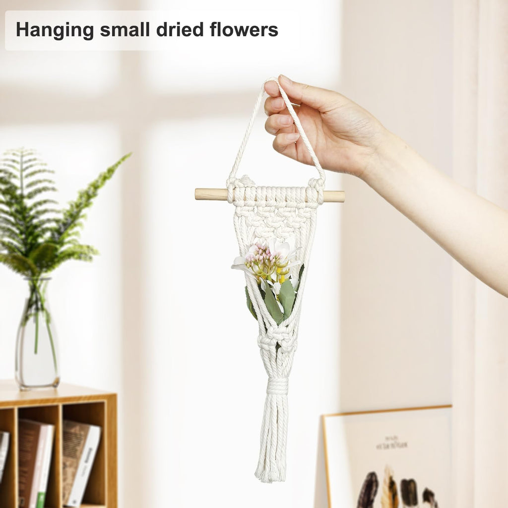 Belit 4 Pack Air Plants Holders with 4 Hooks, NO Plant Included