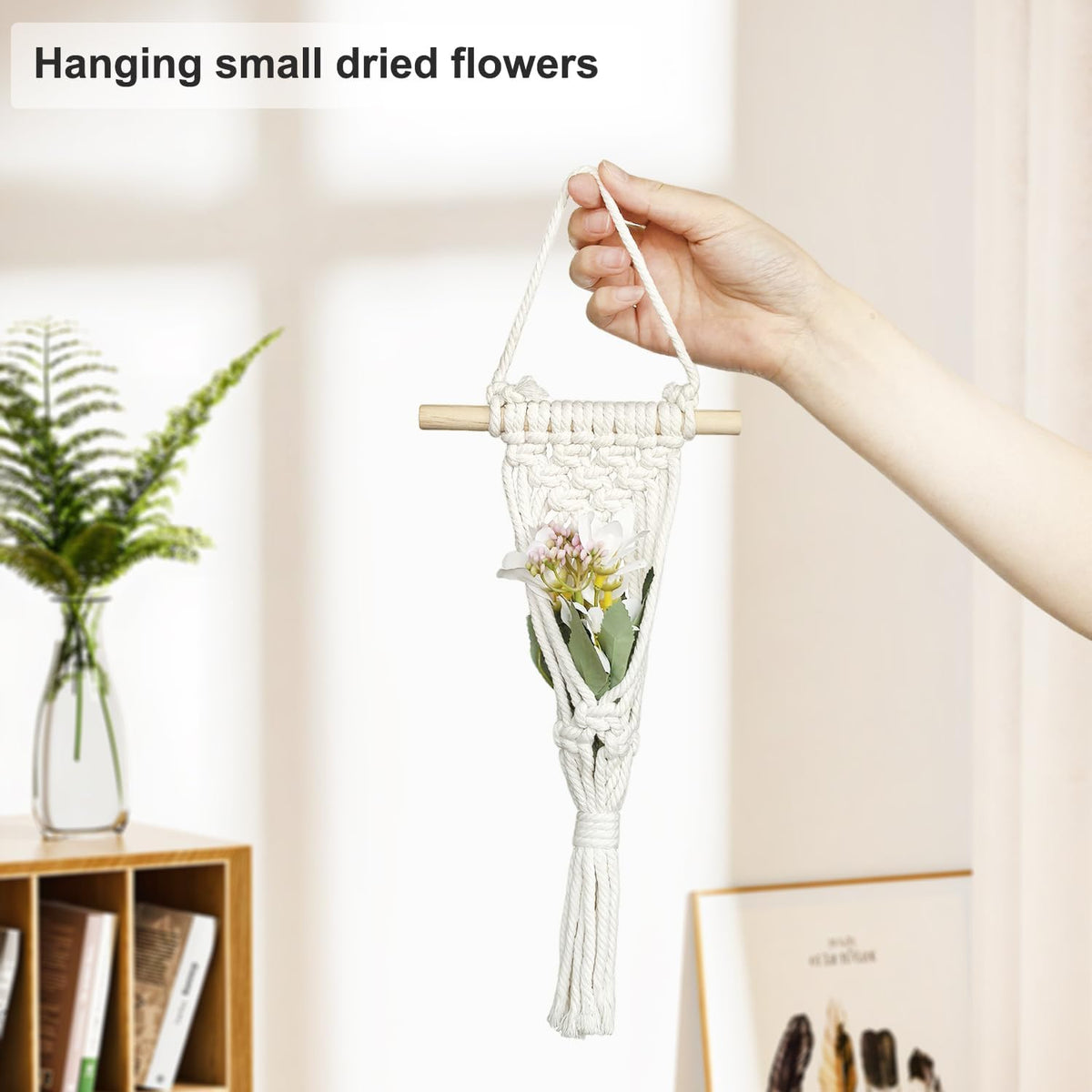Belit 4 Pack Air Plants Holders with 4 Hooks, NO Plant Included