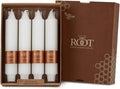 Root 4-Count Unscented Grecian Collenette Candles, 7-Inch, White