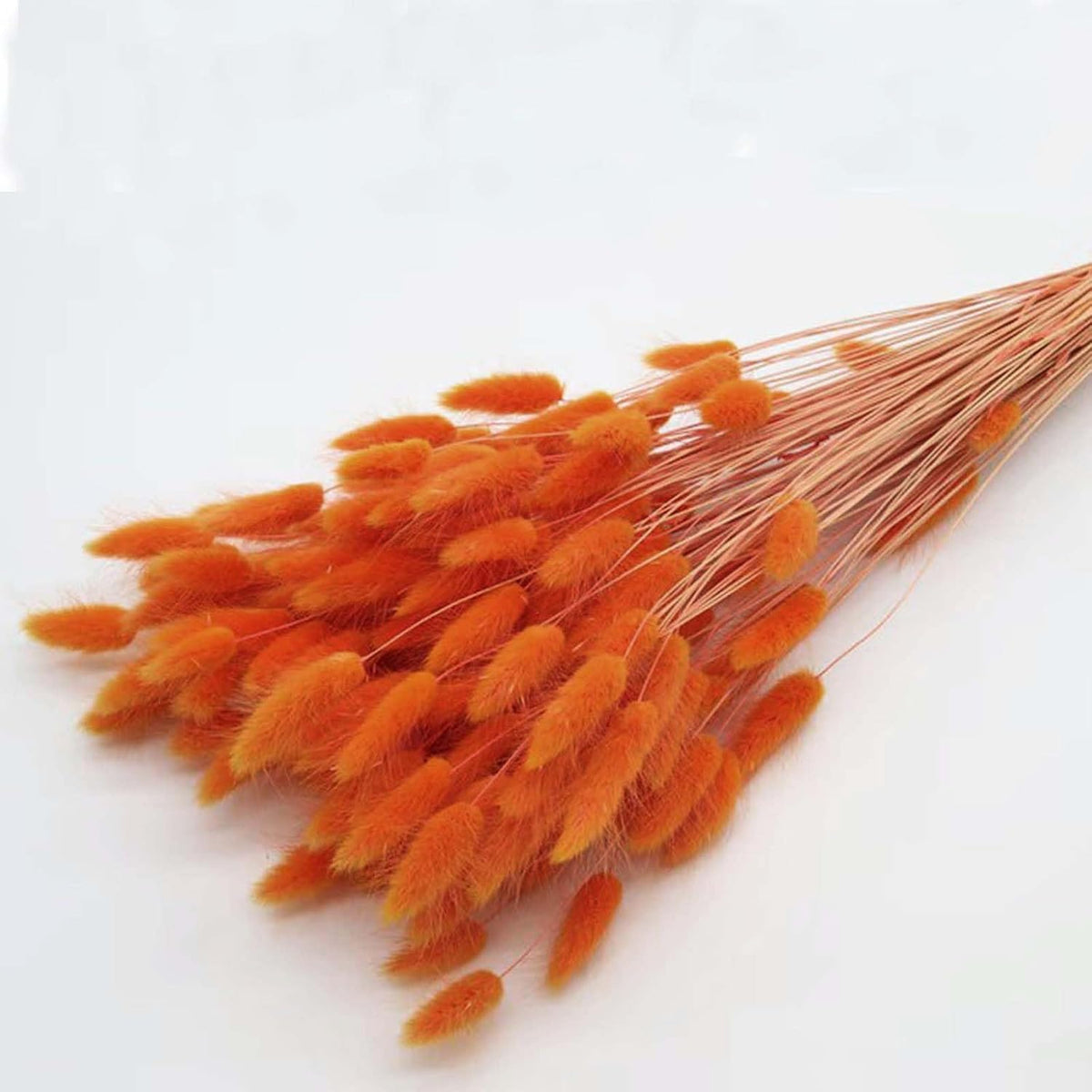 120pcs Orange Bunny Tail Pampas Grass Dried Flowers for Vase Boho Flowers Dried Babys Breath Wedding Decor Dry Flowers for Vase (Orange 120 PCS)