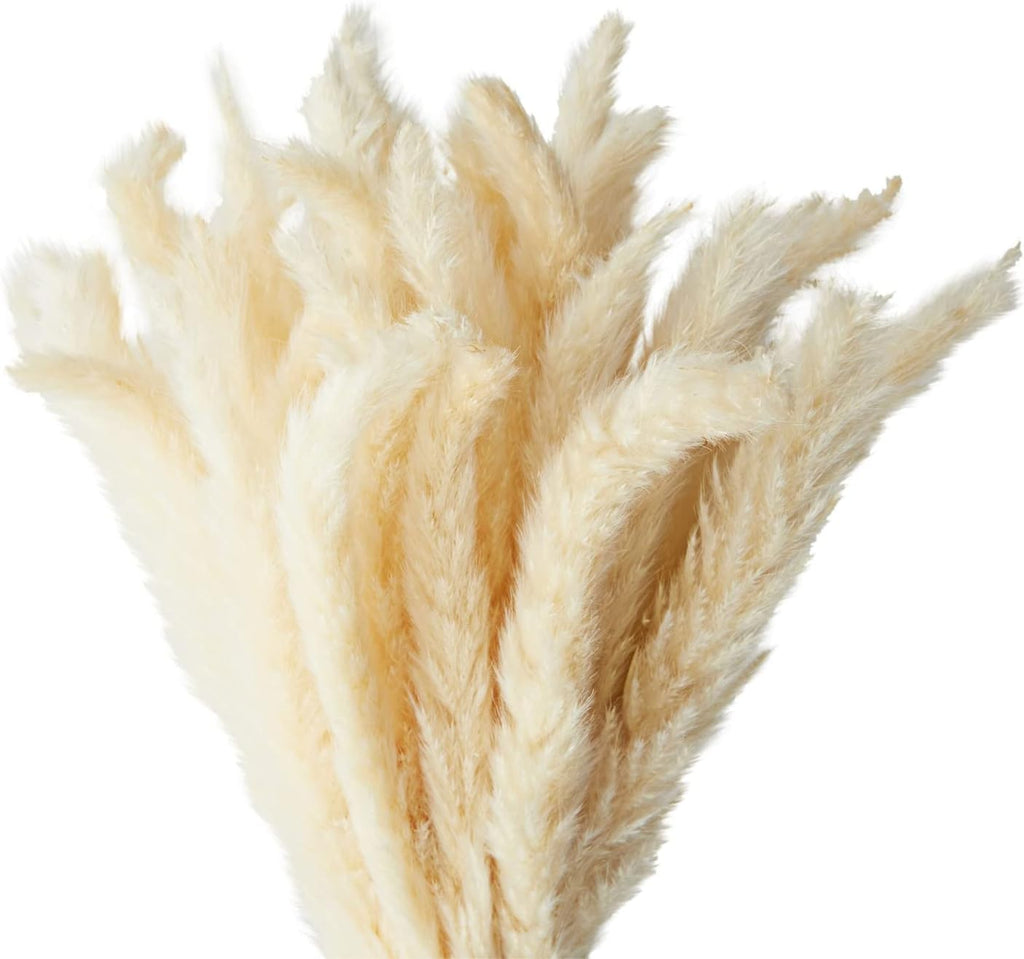 Farmlyn Creek Natural Pampas Grass Bundle & Ceramic Vase - 40 Stems, 16 in Tall, Ivory - Dried Pampas Grass Decor - Rustic Farmhouse Home Decor - Table & Wedding Centerpiece
