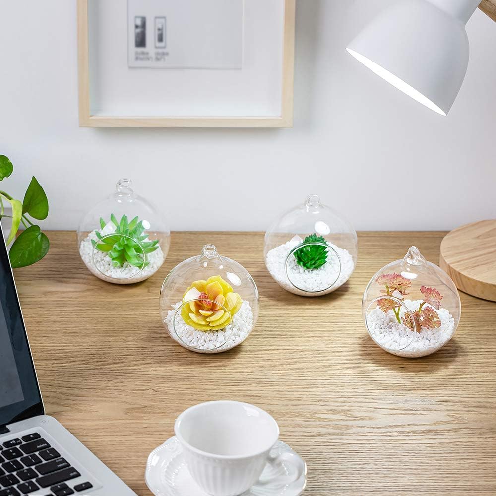 NUPTIO Hanging Glass Terrarium Planters, 4 Pcs, 4 Inch