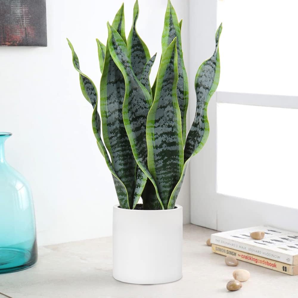 Hollyone Artificial Snake Plant Potted with Solid Wood Plant Stand, 19" Faux Sansevieria Tropical White Ceramic Pots Fake Plants for Home Office Indoor Decor Housewarming Gift