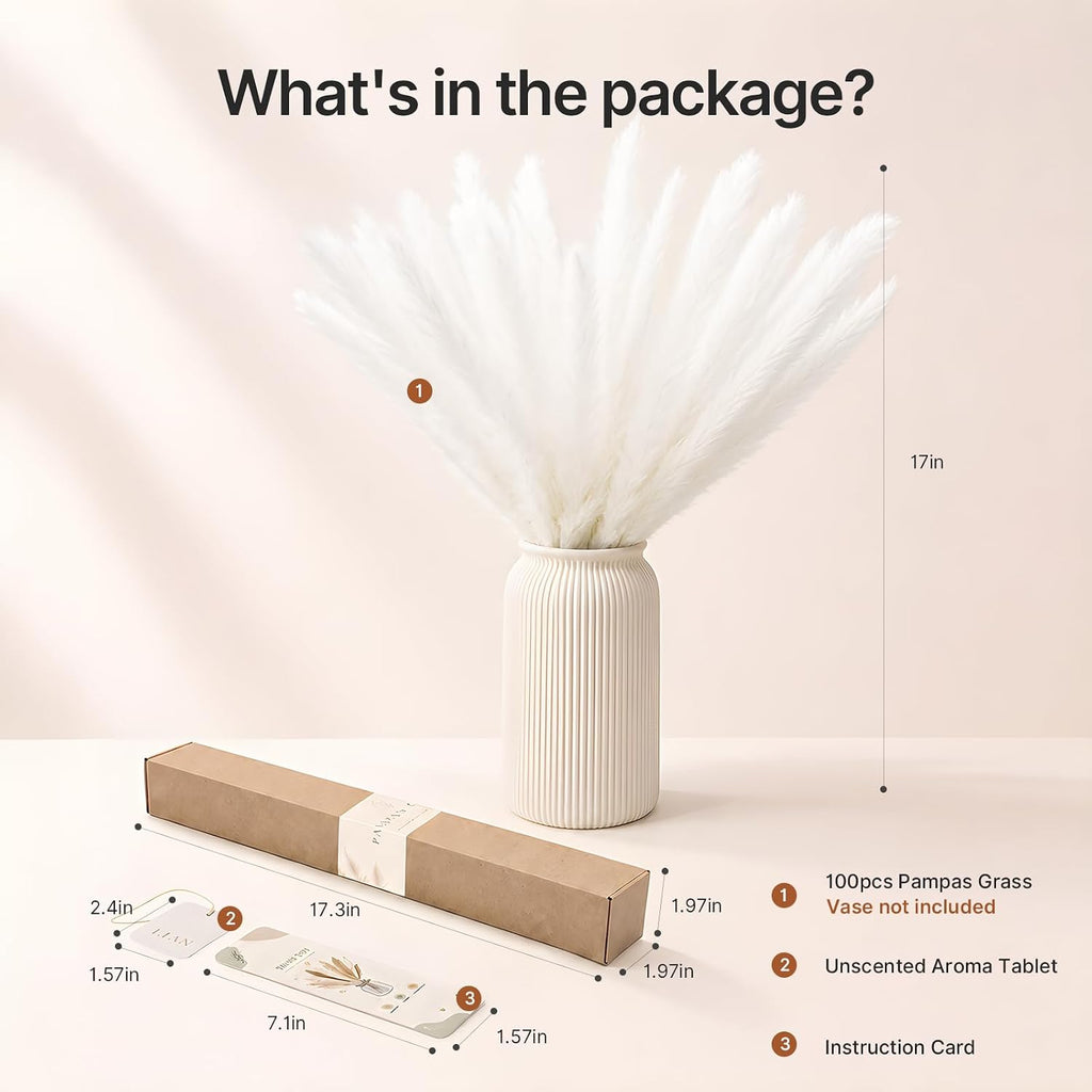 LIAN 100 Pcs White Small Pampas Grass Bouquet, Dried Reeds for Boho Decor