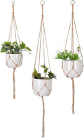 VASANA 3Pcs Macrame Plant Hanger Rope with Gold Hook Tassel3 Different Size Outdoor Indoor Hanging Planter Basket Decorative Flower Pot Holder for Boho Home Decor (Pots Not Included)