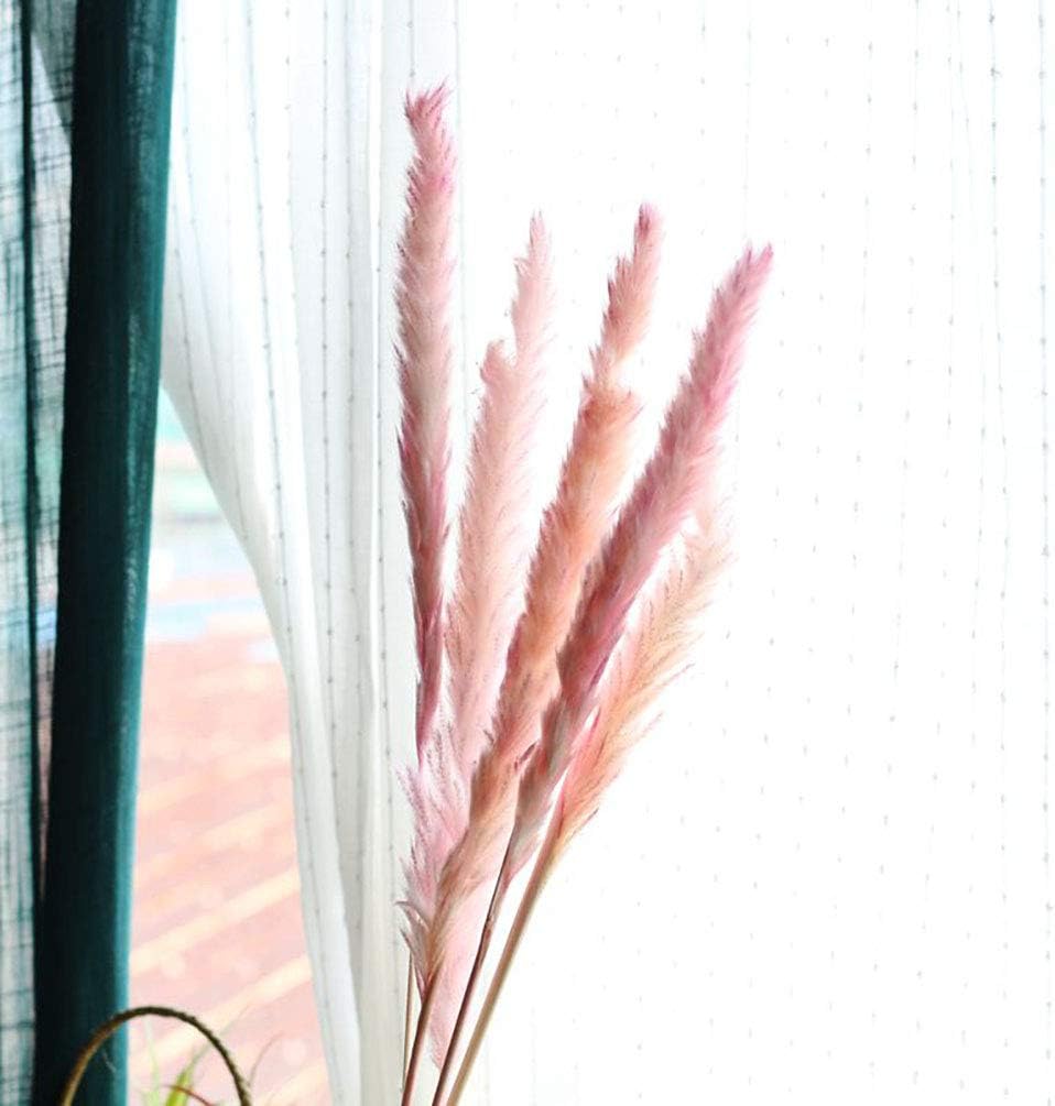 60 Stems 22 Inch Natural Dry Flowers Small Pampas Grass, Phragmites Communis, Dried Flowers Bouquet for Wedding Floral Arrangements Home Decorations (Pink)