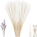 LIAN 100 Pcs White Small Pampas Grass Bouquet, Dried Reeds for Boho Decor