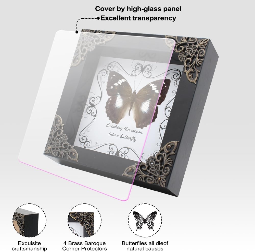 Butterfly Framed Decoration Handmade Taxidermy Butterfly Shadow Box Collection Framed Butterfly Taxidermy for Gothic Home Decor
