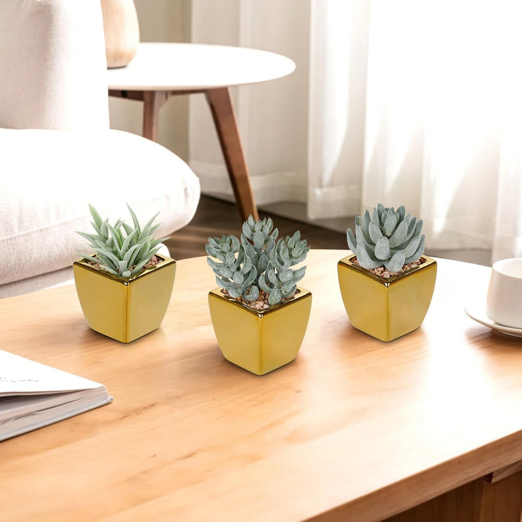Hollyone Small Succulents Artificial 3 Pcs Faux Succulents with Gold Pots Mini Fake Succulent Plants Indoor Plant Ceramic Pots for Modern Office Desk Bathroom Shelf Living Room Home Decor Sage Green
