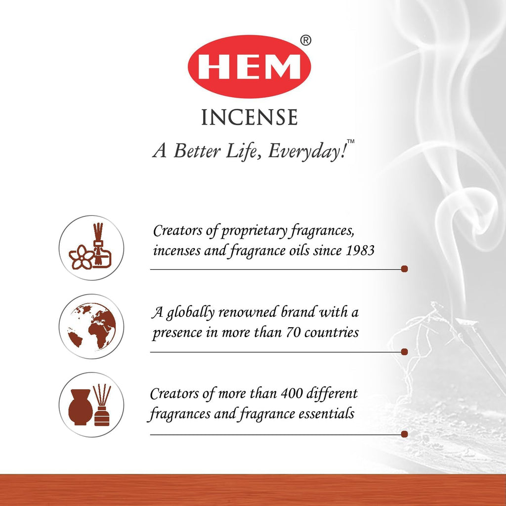 Hem Cinnamon Apple Incense Sticks (120 Sticks, 6 Boxes Inside) - 9 Inches Long, 20g per Box - Cozy and Inviting Fragrance, Evoking The Essence of Freshly Baked Apple Pie.