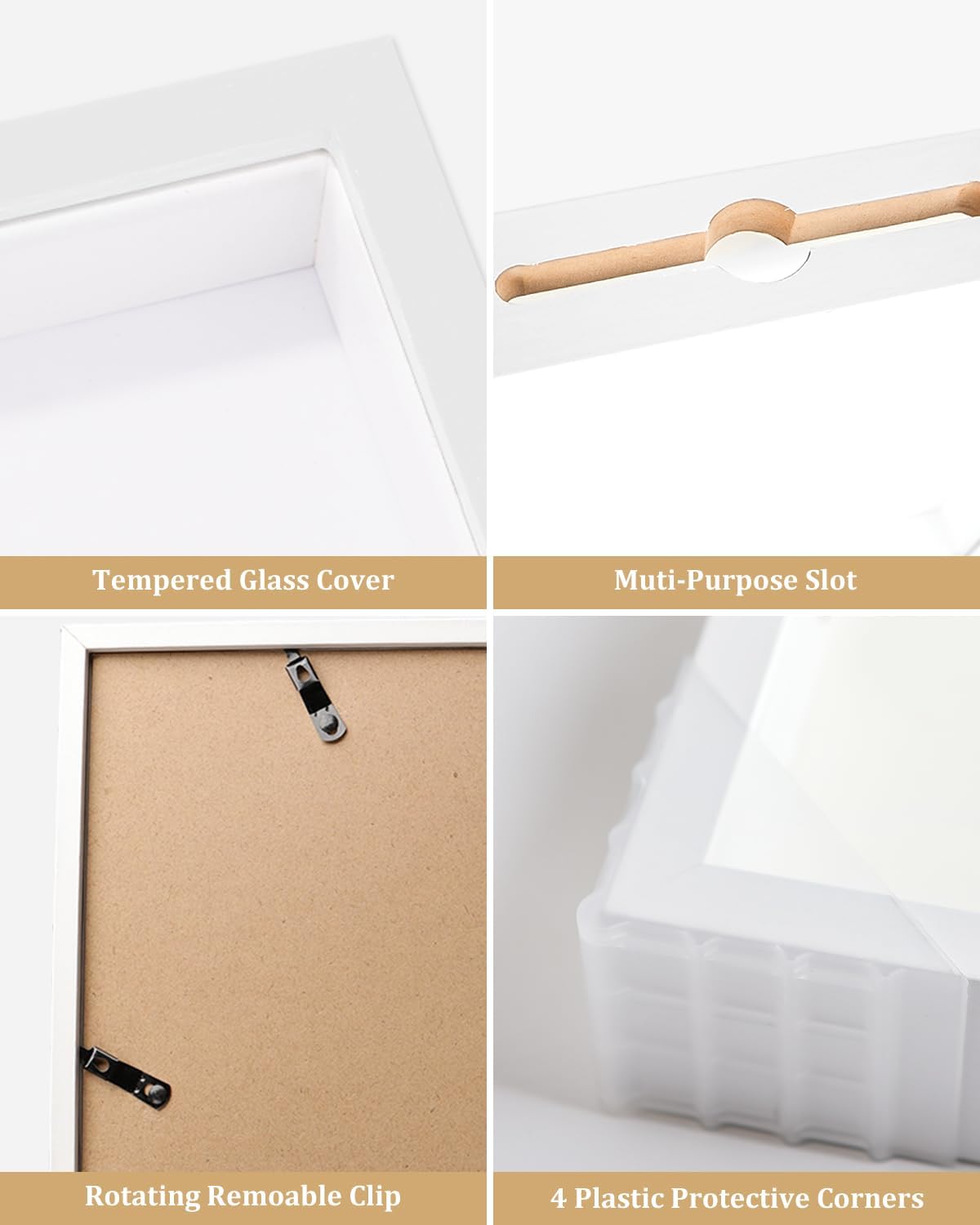 Adventure Archive Box, 12 x 12 Inch Travel Box for Memorie
