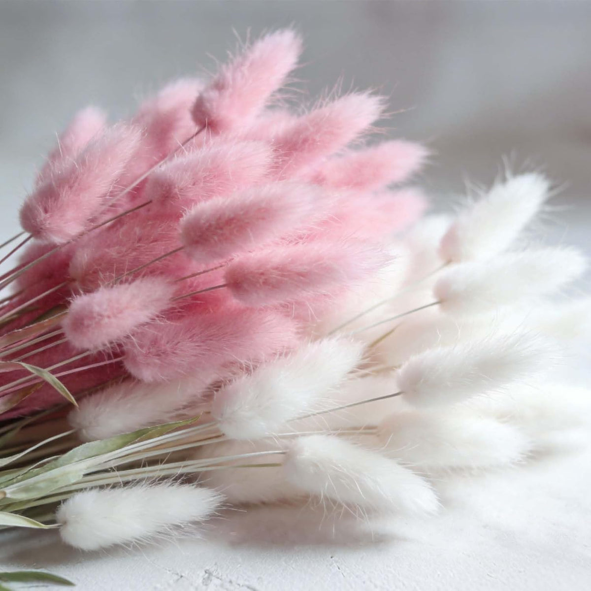 120pcs Bunny Tail Pampas Grass Dried Flowers for Vase Boho Flowers Dried Babys Breath Wedding Decor Dry Flowers for Vase (White 60PCS+Pink 60PCS)
