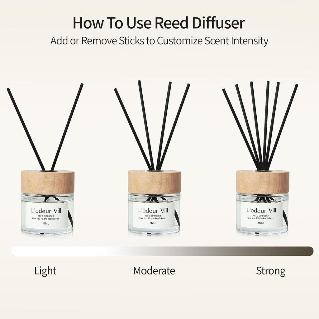 L'odeur Vill Reed Diffuser Set,Mint and Fruit 3.4 fl oz(100 ml) Oil Diffuser with 6 Reed Sticks, Home Fragrance Reed Diffuser for Bathroom Shelf Decor Scent Diffuser