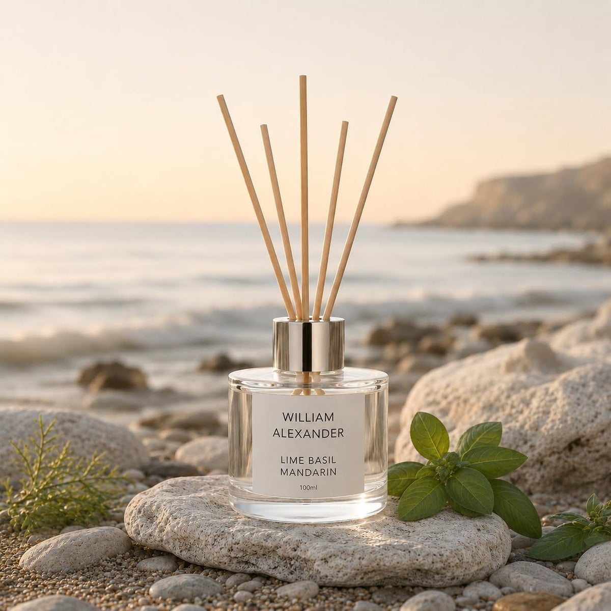 Lime Basil Mandarin Luxury Reed Diffuser Home Gift Set by William Alexander