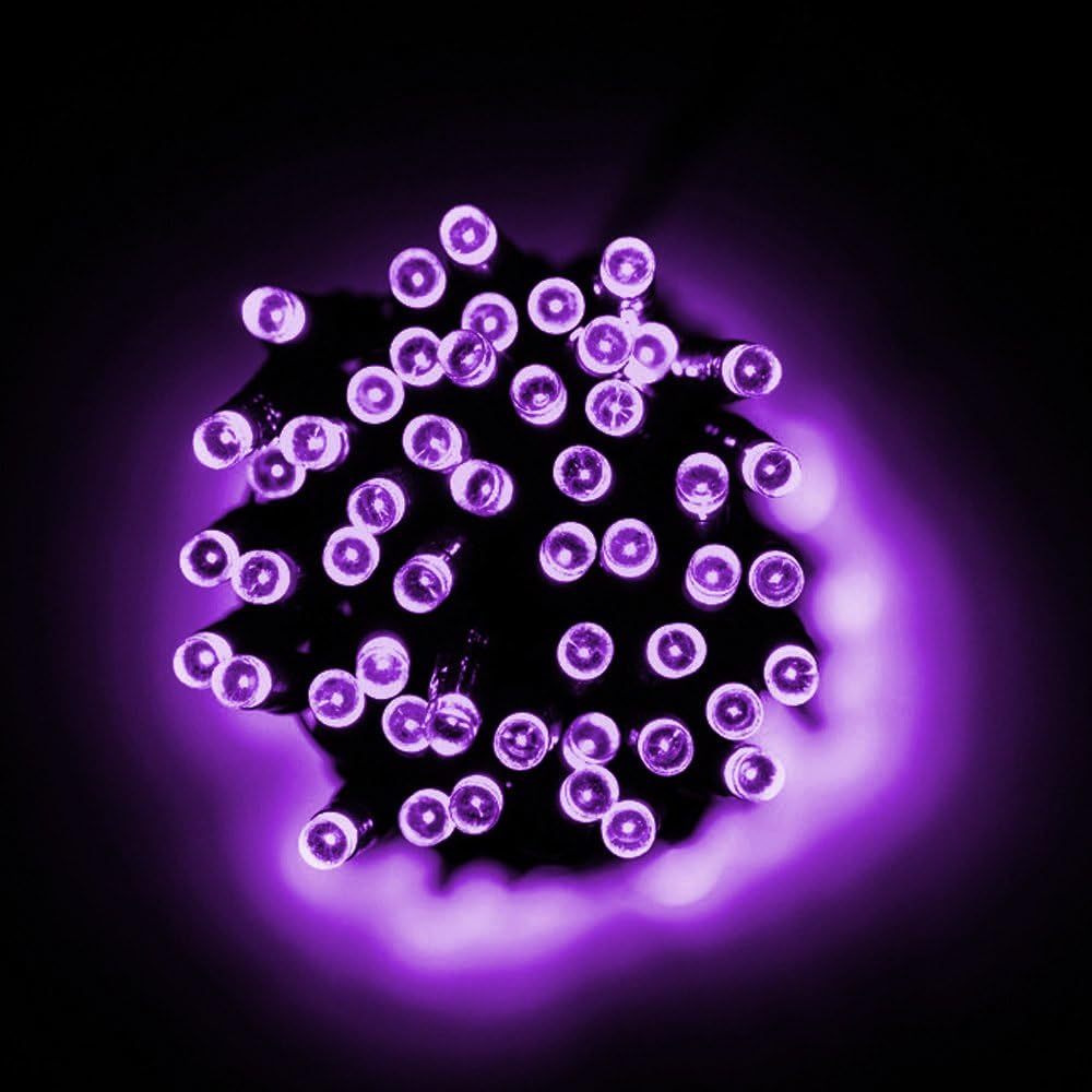Super Z Outlet 30 Mini Bulb LED Battery Operated Fairy String Lights in Purple for Valentines Day, Romantic Wedding, Home Decoration Room Lighting, Christmas, Crafts (158" inch Long String)