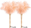 Ostrich Feather Duster 12 Inch Handheld Duster Supplies, Wooden Handle Feather Duster for Cleaning Keyboard Home Car Office (Champagne 2Pcs)