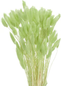 MECCANIXITY 120pcs Natural Rabbit Bunny Dried Flowers 17" Yellow Green