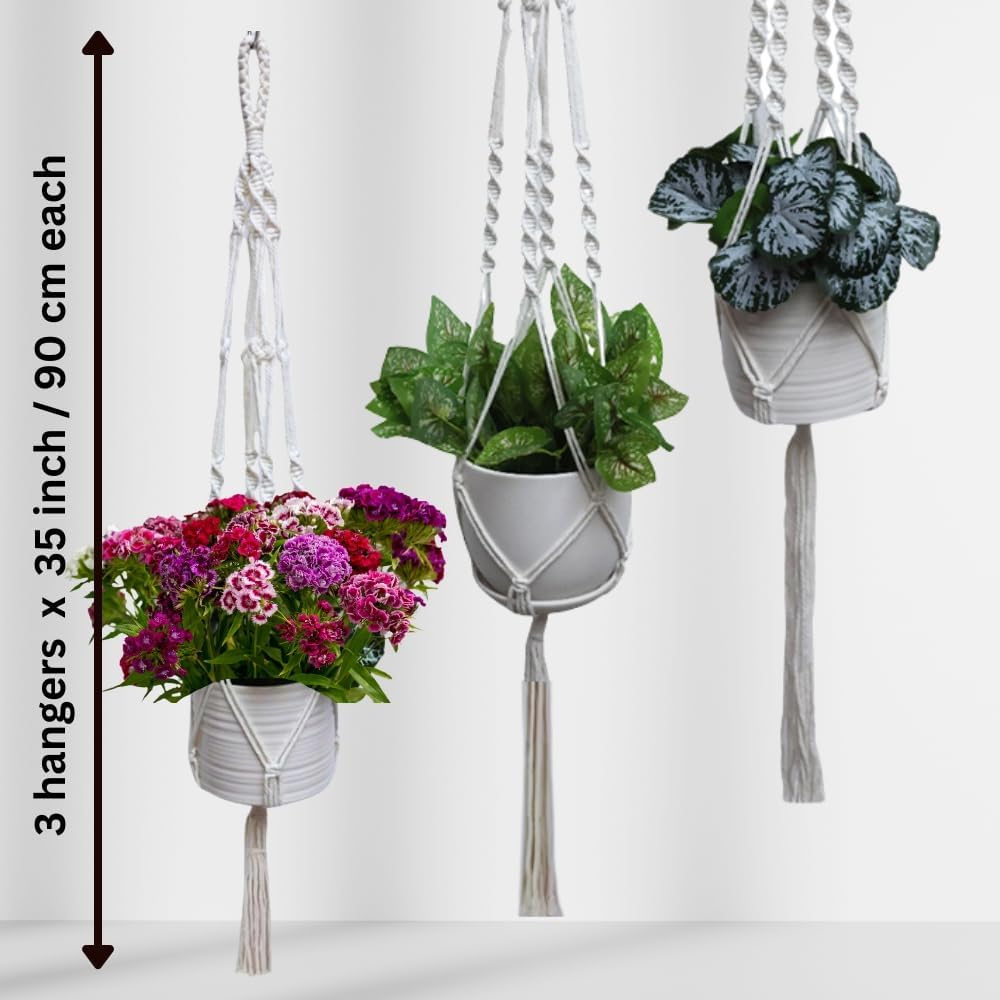 3 Pack Macrame Plant Hanger Indoor Hanging Planter for Plants Holder, Hanging Pot Holder Macrame Decorative Flower Pot Holder with 3 Hooks for Indoor Outdoor Boho Home Décor, Ivory (POTS NOT INCLUDED)