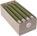 Northern Lights Candles - 7" 12pk Tapers - Moss Green - 71734