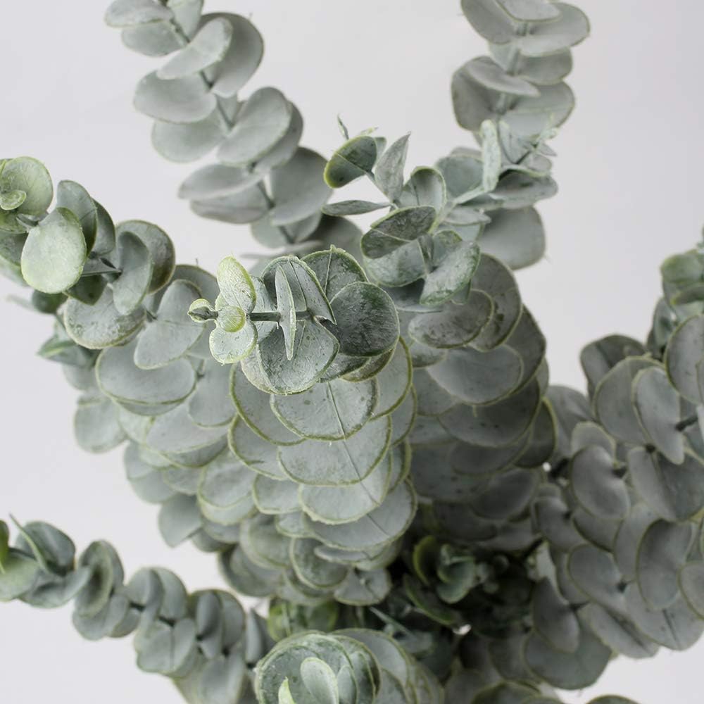 29'' Faux Eucalyptus Branches Spray Artificial Eucalyptus Leaves Long Stems Fake Flower Greenery Tall Plants Real Touch Flowers Eucalyptus for Wedding Bouquet Vase Floral Arrangement Decor 3 Pcs