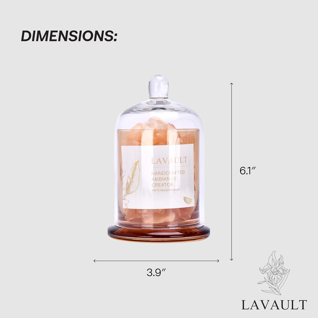 Lavault Reed Diffuser Set for Home, Office, Bedroom & Bathroom - Essential Oil Home Fragrance with Reed Sticks - Ebony Bergamot Scented