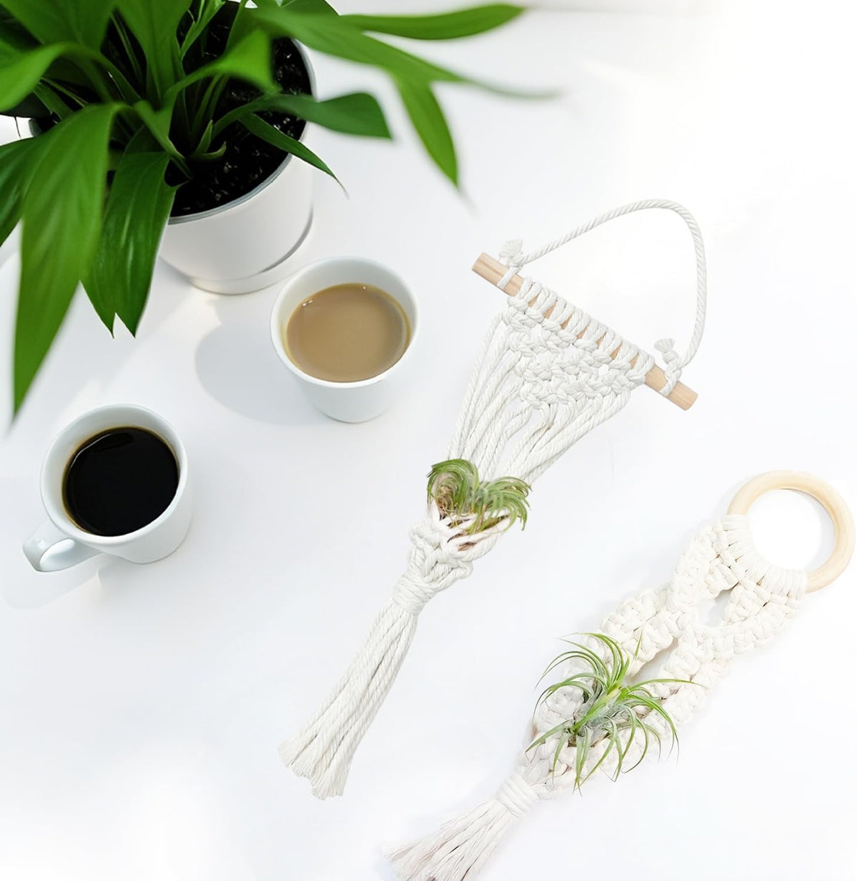 Belit 4 Pack Air Plants Holders with 4 Hooks, NO Plant Included