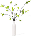 5Pcs Artificial Ficus Branches with Vases, Faux Eucalyptus Greenery Stems in Flower Vase,Fake Eucalyptus Plant for Home Bathroom Living Room Decor,Centerpiece Table Decoration