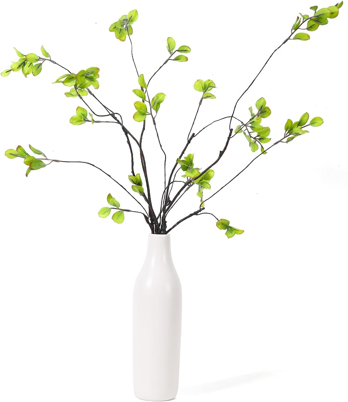 5Pcs Artificial Ficus Branches with Vases, Faux Eucalyptus Greenery Stems in Flower Vase,Fake Eucalyptus Plant for Home Bathroom Living Room Decor,Centerpiece Table Decoration