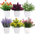 Yoratee 6 Pack Small Fake Plants Mini Artificial Faux Flowers with Pot Mini Potted Plants for House Office Desk Tabletop Decoration