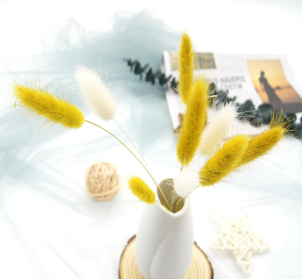 Dried Bunny Tails Flowers 120pcs Tail Dried Flowers Pampas Grass Natural Dried Floral Arrangement 17" for Christmas Halloween Boho Decor Home Wedding DIY Craft Decoration(White and Yellow)