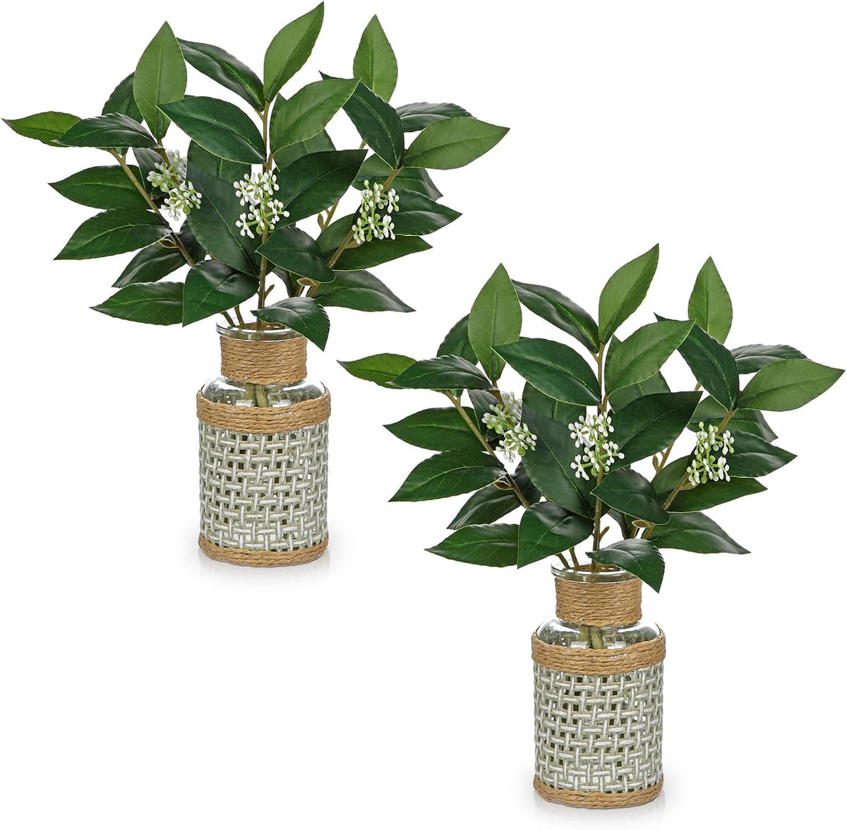 DILATATA 2Pcs Artificial Laurel Stems in Glass Vase with Faux Water and Woven Basket 11" Fake Greenery Plant Bay Leaves for Home Office Farmhouse Bathroom Bedroom Kitchen Table Centerpiece Decor