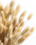 120PCS Bunny Tails Dried Flowers,17" Brown Pampas Grass Natural Rabbit Tail Grass for Boho Wedding,Baby Birthday Party,Home Table, Farmhouse Decor