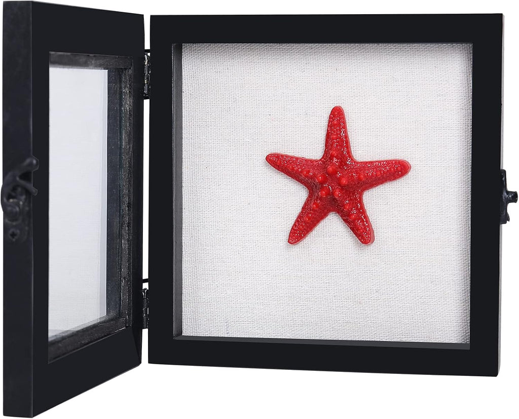 6x6 Small Shadow Box Frame with Glass, Hinged Door, Solid Wood, Black