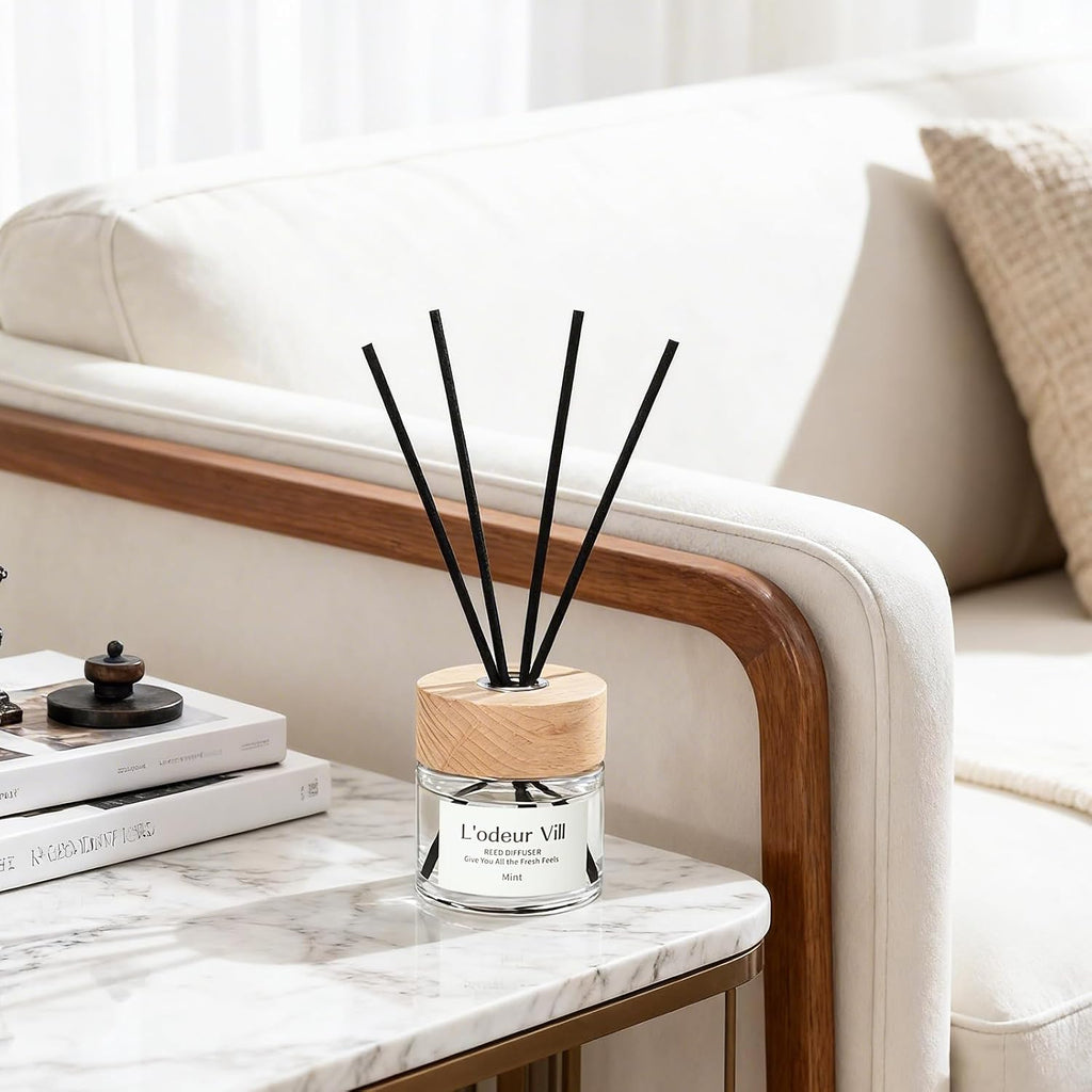 L'odeur Vill Reed Diffuser Set,Mint and Fruit 3.4 fl oz(100 ml) Oil Diffuser with 6 Reed Sticks, Home Fragrance Reed Diffuser for Bathroom Shelf Decor Scent Diffuser