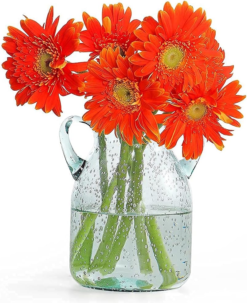 MDLUU Seeded Glass Vase, 4.6" W x 6.7" H, Clear, Double Ear Design, Coastal Modern Style, Perfect for Dining Room, Bedroom, Bathroom