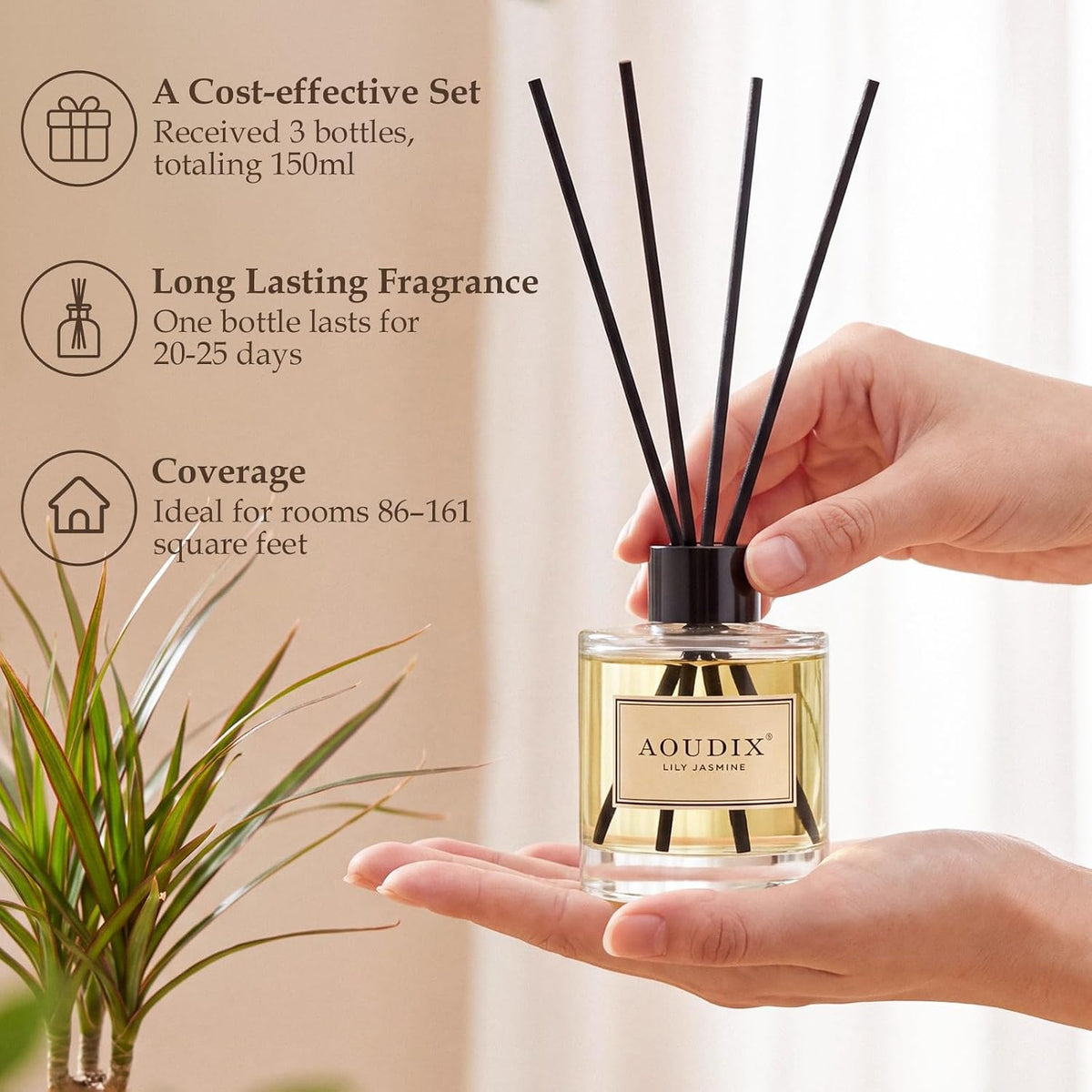 Reed Diffuser Set of 3, 50 ml Lily Jasmine/Eucalyptus Mint/Ocean