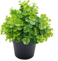 OFFIDIX Artificial Mini Plastic Eucalyptus Potted Plants for Home Office Decoration, Faux Plastic With Black Pots, Fake for Bathroom Decor