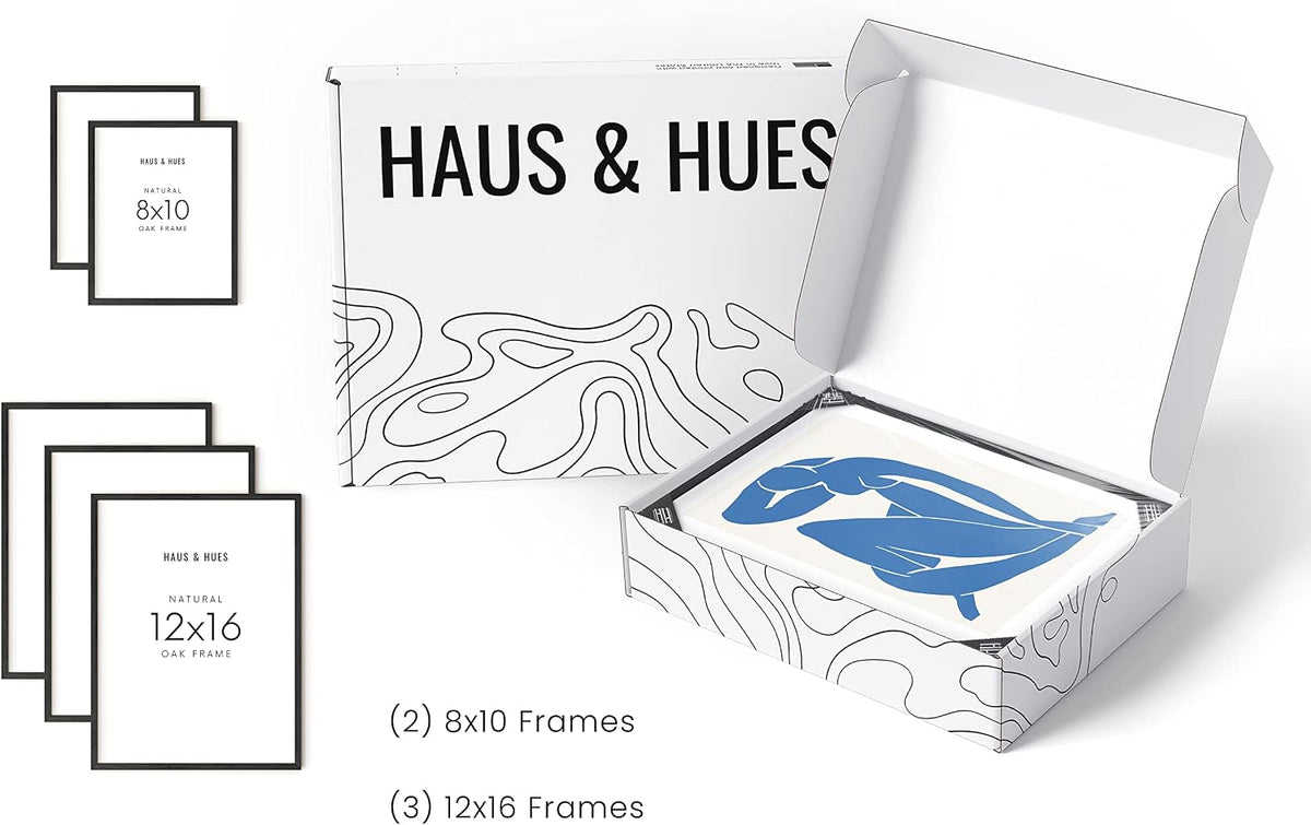 HAUS AND HUES Picture Frames for Wall - Set of 5 Black Photo Frames, Collage (Two 8x10, Three 12x16)
