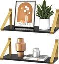 Gold Black Floating Shelves Wall Mounted Set of 2, 8mm Transparent Acrylic, Invisible Wall Shelves for Bedroom, Living Room, Bathroom, Kitchen, Office Display Decor (13in)