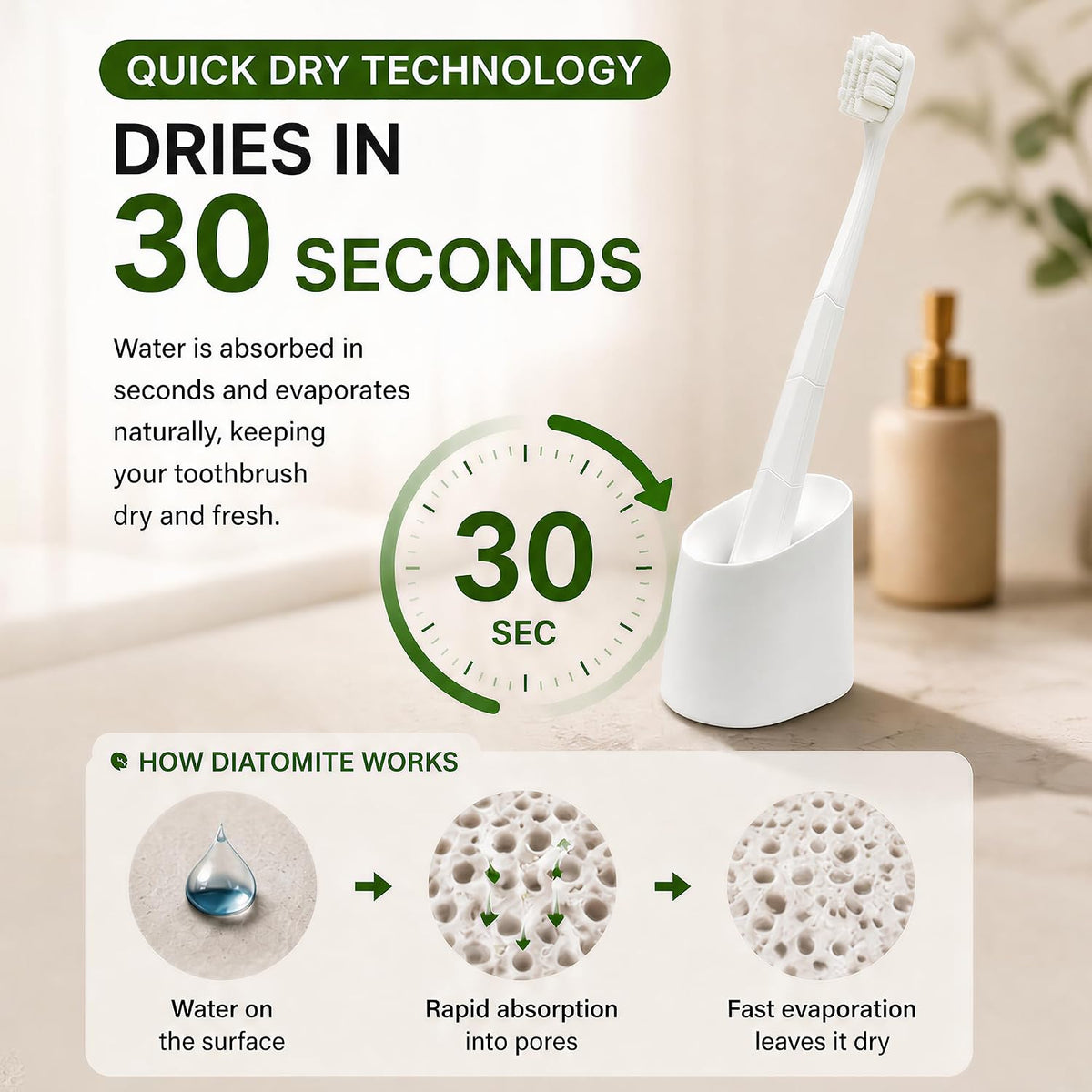 Small Toothbrush Holder, Diatomite Quick Dry Stand