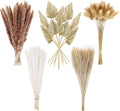 110 Pieces Dried Pampas Grass Decor Bulk