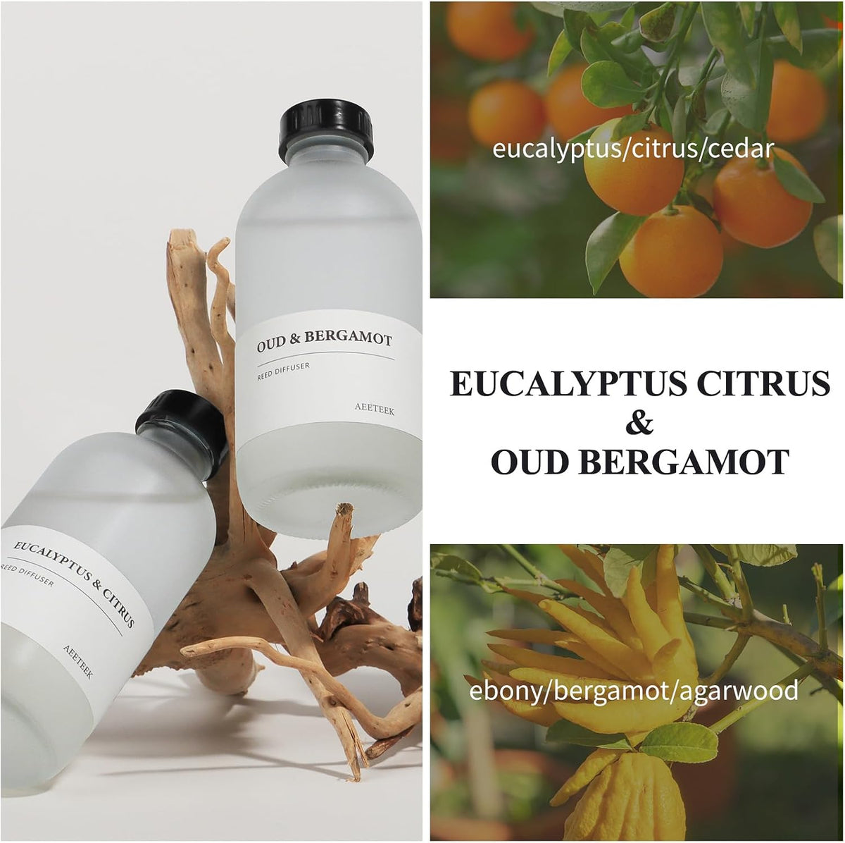 Eucalyptus Citrus & Oud Bergamot Reed Diffuser Set of 2, 14.8 oz(220mlx2) Scented Oils with Willow Branches Diffuser Sticks, Long Lasting Essential Oil, Air Freshener for Home, Office