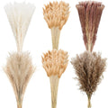 330 Pcs Dried Pampas Grass 17 Inch Fall Decorations for Home
