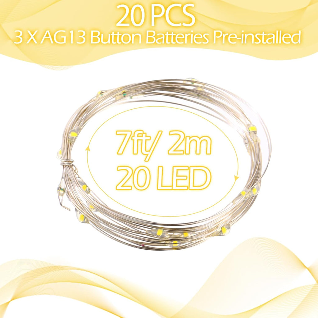 Hortsun 20 Pack Battery Operated Fairy Lights 7 ft 20 LED, Warm White