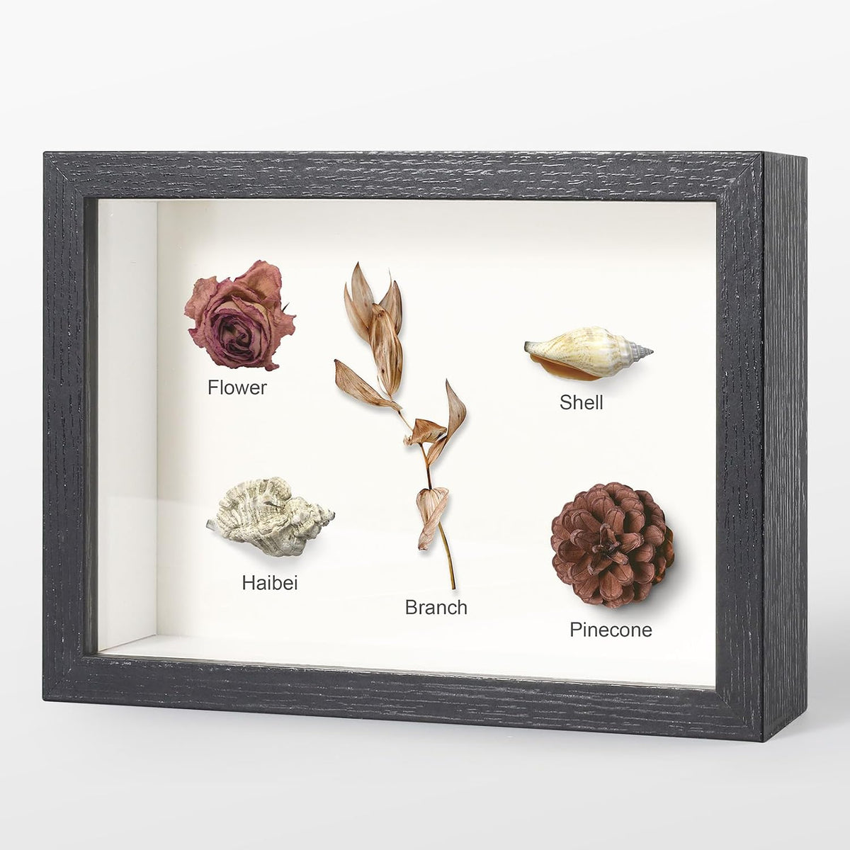 4x6 Small Black Shadow Box Frame Display Case