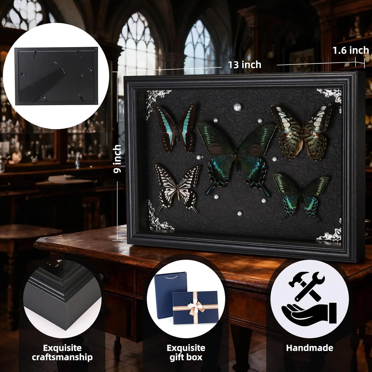Real Framed Butterfly Taxidermy Collection - Set of 5 in Shadow Box Display