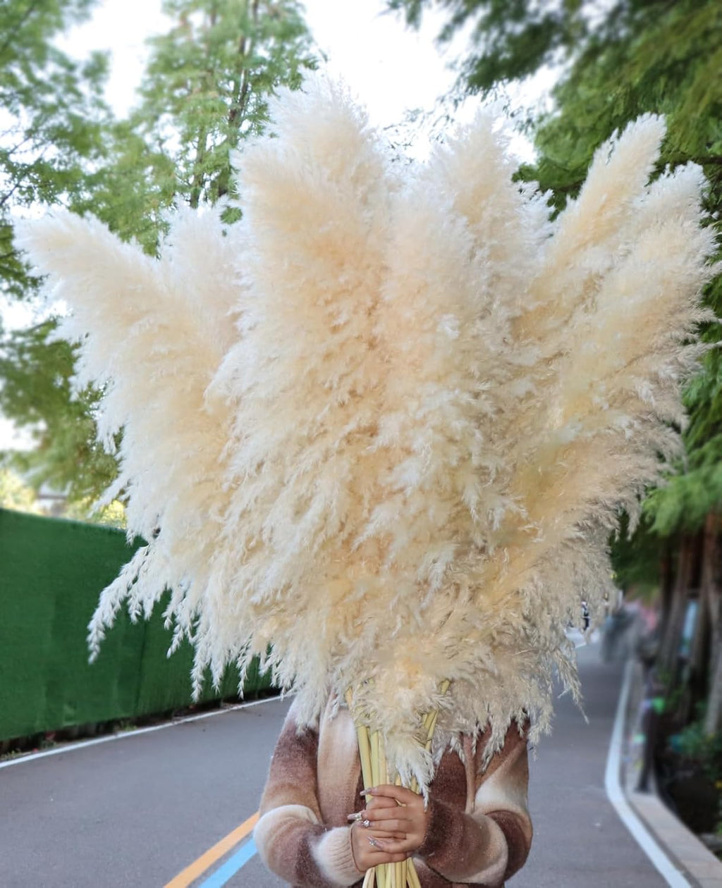 Pasuvsigt 15Pcs 40 Inch Dried Pampas Grass Fluffy Stem Home Wedding Decor