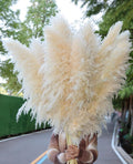 Pasuvsigt 15Pcs 40 Inch Dried Pampas Grass Fluffy Stem Home Wedding Decor