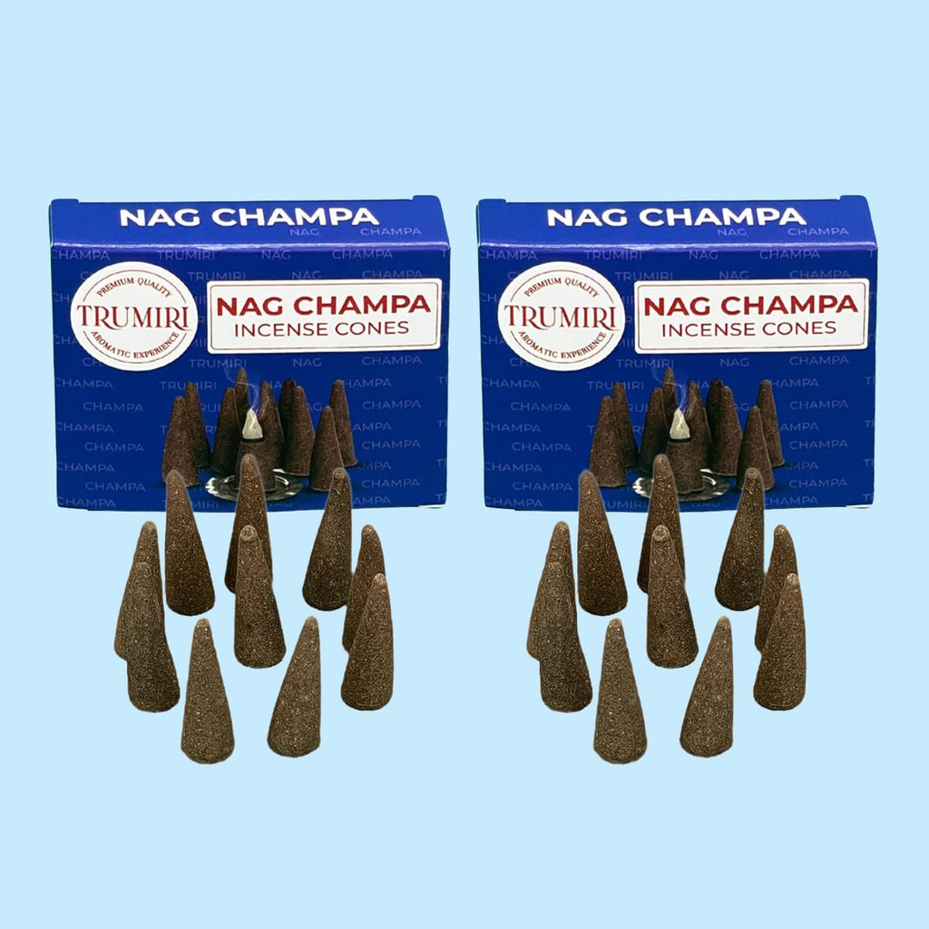 Nag Champa Incense Cones - Total 60 Cone Incense - Six Packs of 10 Insence Cones - Incense Cones Scented - Cone Incense Scents - Insense - Inscent